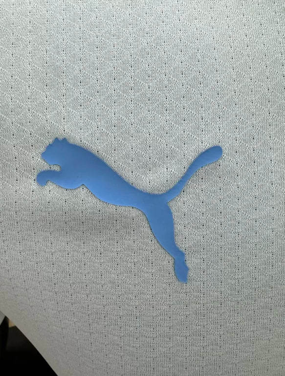 מנצ’סטר סיטי חולצה שלישית 26\2025