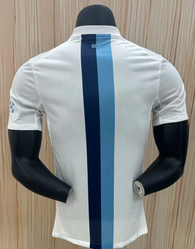 מנצ’סטר סיטי חולצה שלישית 26\2025